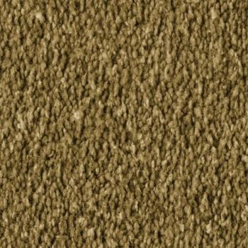 Vorwerk Alba 2F97 moos – Draufsicht Velours Teppichboden 4 m breit